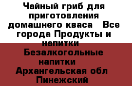 Чайный гриб для приготовления домашнего кваса - Все города Продукты и напитки » Безалкогольные напитки   . Архангельская обл.,Пинежский 